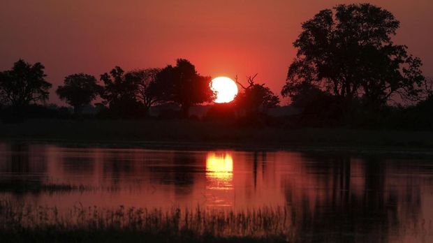    Okavango Delta, Botswana 