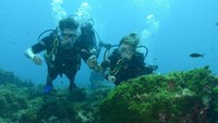 Kalau yang ini Kaka sedang menyelam. Nampak istri di sampingnya menemani dan melihat seekor hiu di dasar laut itu (Kaka/Instagram)
