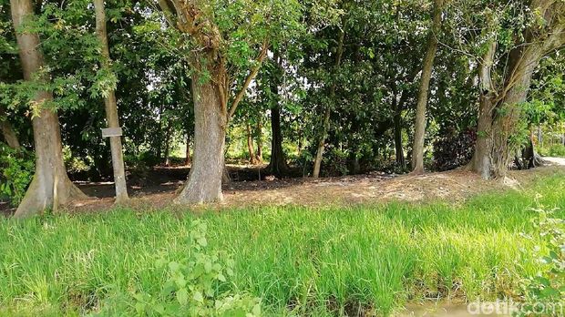 Bangunan Kuno di Tengah Sawah/