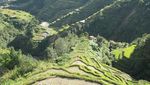 Foto: Sawah di Film Avengers: Infinity War