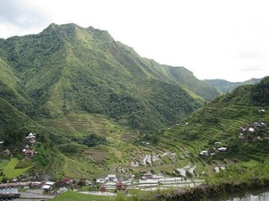 Mau Liburan ke Sawah yang Didatangi Thanos? Baca Ini Ya
