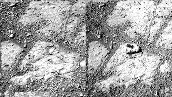 Banyak yang mengira bahwa objek ini merupakan spesies jamur yang tiba-tiba muncul. Meski begitu, NASA mengkonfirmasi bahwa itu batu tersebut muncul karena dilewati oleh rover Opportunity. (Foto: CNET)