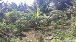 Foto: Geger Penemuan Mayat Bocah Dalam Karung di Bogor