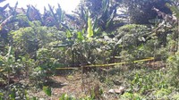 Korban sudah di dalam karung, (dibuang) di tengah lahan itu, kata seorang warga.Fotografer: Farhan-detikcom