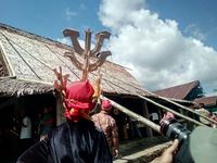 Tradisi ini dimaknai sebagai bentuk pelestarian budaya leluhur (dok Pemkab Halmahera Barat)