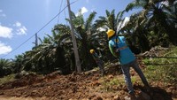 Sejak Oktober 2017, PLN mulai menanam tiang listrik di Desa Tiwei. Selanjutnya membangun Jaringan Tegangan Menengah (JTM) sepanjang 8,9 kms (kilometer sirkit) dan Jaringan Tegangan Rendah (JTR) sepanjang 3.68 kms dengan 3 gardu distribusi. Nilai investasi yang digelontorkan PLN untuk proyek listrik desa ini sebesar Rp 4,9 miliar. Saat ini tersisa 1 kms jaringan kabel lagi. Pool/PLN.