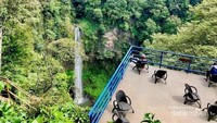 Mengapa di sebut Curug Cimahi? Berasal dari nama sungai yang mengalir di atasnya, yaitu Sungai Cimahi. Curug ini berada di ketinggian 1050 mdpl, sehingga merupakan curug tertinggi di Jawa Barat (Irwan Reza Pahlevi/dTraveler)