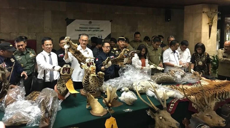 Menteri LHK: Kejahatan Satwa Liar Peringkat Ke-3 di Indonesia Menteri LHK: Kejahatan Satwa Liar Peringkat Ke-3 di Indonesia