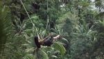 Sosialita Anak Bos Perusahaan Wine Thailand & Keindahan Bali