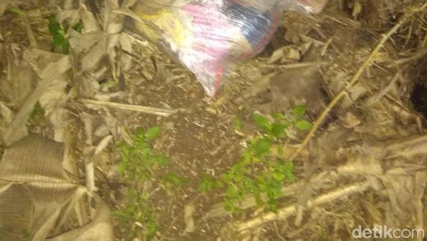 Jasad Grace ditemukan dalam karung.