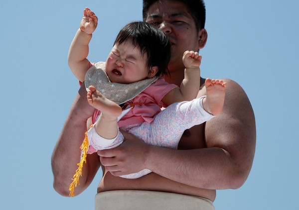 Namanya Festival Nakizumo, dimana para pesumo berlomba membuat bayi-bayi gemas ini menangis. (Reuters) Namanya Festival Nakizumo, dimana para pesumo berlomba membuat bayi-bayi gemas ini menangis. (Reuters)