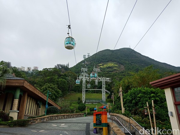 Traveler bisa menikmati pemandangan cantik di sekitar Ocean Park dari ketinggian (Kanavino/detikTravel) Traveler bisa menikmati pemandangan cantik di sekitar Ocean Park dari ketinggian (Kanavino/detikTravel)