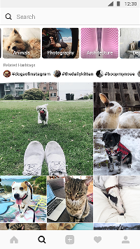 Tampilan baru Explore di Instagram.