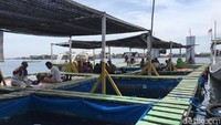 Para penduduk utamanya berprofesi sebagai nelayan. Uniknya, ogah pindah ke pulau sebelah (daratan) yang nyata-nyata masih kosong (Aji Surya/detikTravel)