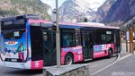 Foto: Bus-bus Gratis Buat Main Ski di Prancis