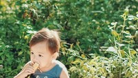 Ada-ada aja nih Bjorka. Ia memilih sarapan di tempat tak biasa. Anak ini sarapannya tadi nongkrong di hutan sambil makan pisang, tulis Sabai. Foto: Instagram sabaidieter