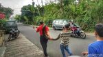 Foto: Penampakan Piton yang Gegerkan Warga Sukabumi