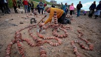 Sang juara akan disponsori mengikuti perlombaan World Stone Balance Championship di Texas tahun depan (Andy Buchanan/AFP)
