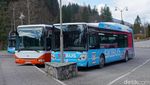 Foto: Bus-bus Gratis Buat Main Ski di Prancis
