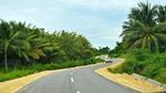 Meliuk di Antara Hutan, 9 Jalan Pulau Terdepan di Maluku Mulus