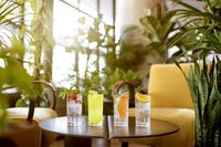 Wah, Di Bar Ini Bisa Minum Cocktail Sambil Meghirup Udara Bersih dan Segar! 