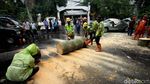 Mobil Ringsek Tertimpa Pohon di Kebayoran Baru