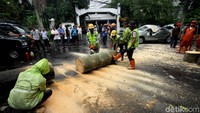Petugas dari Sudin Pertamanan dan Pemakaman langsung memotong batang pohon yang menimpa mobil.