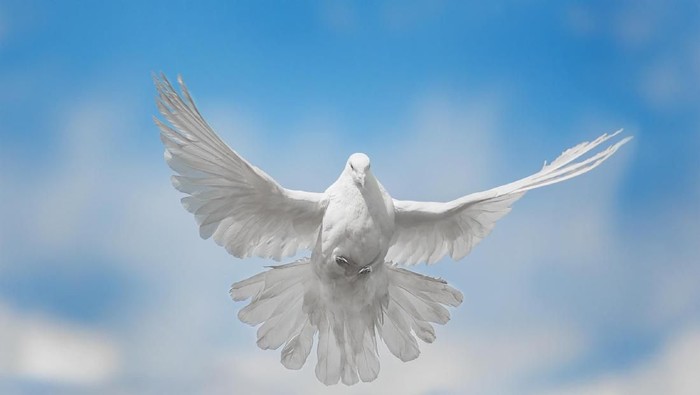 Foto: Thinkstock Foto: Thinkstock