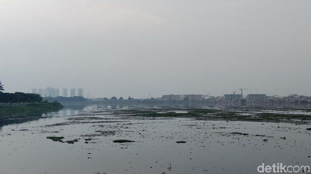 Sisi utara Waduk Pluit, Penjaringan, Jakut, Kamis (3/5/2018)