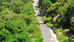 Meliuk di Antara Hutan, 9 Jalan Pulau Terdepan di Maluku Mulus