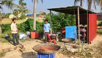 Penjual tarantula goreng bisa menjual 100 tarantula tiap harinya. Tapi kini pasokan tarantula dikabarkan berkurang. Foto: CNN
