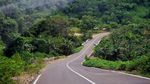 Meliuk di Antara Hutan, 9 Jalan Pulau Terdepan di Maluku Mulus