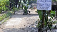 Batang pisang pun menghiasi tengah jalan bopeng. Selain terhambatnya akses ekonomi, jalan rusak ini membuat anak-anak sekolah terhambat. Terlebih jika ada wanita hamil mau ke rumah sakit, kasihan terombang-ambing karena jalan rusak dan hancur, ujar Rahmat.