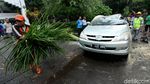 Mobil Ringsek Tertimpa Pohon di Kebayoran Baru