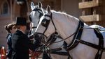 Begini Penampakan Kereta Kencana Pangeran Harry Jelang Royal Wedding