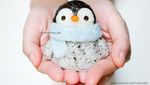Lucunya, 10 Nasi Kepal Bentuk Elsa hingga Shinchan Buatan Dokter Cantik