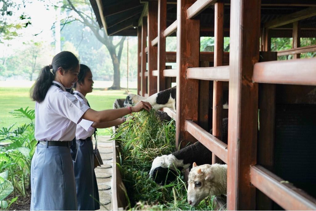 Jokowi Kenalkan Kambing ke Anak SMA di Istana Bogor