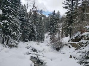 Asyiknya Main Ski di Steamboat Springs