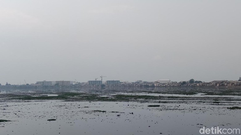 Melihat Kondisi Waduk Pluit Terkini Melihat Kondisi Waduk Pluit Terkini