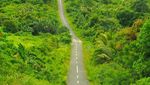 Meliuk di Antara Hutan, 9 Jalan Pulau Terdepan di Maluku Mulus