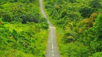 Pulau Yamdena di Maluku Tenggara Barat memiliki ruas jalan nasional terpanjang diantara 8 pulau lainnya yakni 156 km. Ruas jalan tersebut menghubungkan Pelabuhan Saumlaki hingga menuju jembatan Wear Arafuru. Jalan tersebut sudah cukup baik meskipun perlu dilakukan pewawatan rutin karena di titik tertentu terdapat jalan rusak akibat patahan-patahan tanah. Istimewa/Kementerian PUPR.
