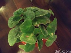 Menguji Kemampuan Kamera Redmi Note 5 di Malam Hari