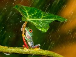 Deretan Foto Hewan yang Membuat Mata Terperangah