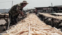 Pekerja membolak-balik tulang ikan yang tengah dijemur.