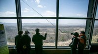 Zona Demarkasi Korea didirikan setelah adanya Perjanjian Gencatan Senjata Perang Korea pada tahun 1953. Garis Demarkasi Militer ini membagi semenanjung Korea menjadi dua bagian (CNN Travel)