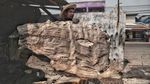 Melihat Pengolahan Kulit Ikan Pari di Muara Angke