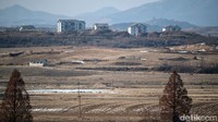 Dari tempat ini, Anda akan melihat kota-kota modern dari Korea Selatan disandingkan dengan lanskap berawa di Korea Utara. Anda mungkin hanya melihat sekilas bangau putih, elang, beruang, kambing, atau rusa (CNN Travel)