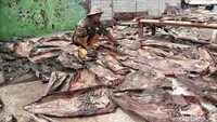 Ukurannya yang besar membuat 1 kulit ikan pari dapat diolah menjadi dompet ataupun tas kecil.