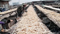 Tulang ikan ini dihargai Rp 500 ribu per kilogram.