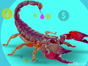 Mungkinkah Kalajengking Punah karena Racunnya Diburu?
